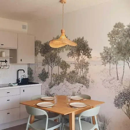 Apartamento Le Cocon De J&j En Centre-ville Clim Wifi - Rossiconciergerie - Linge Inclus